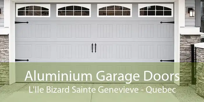 Aluminium Garage Doors L'Ile Bizard Sainte Genevieve - Quebec