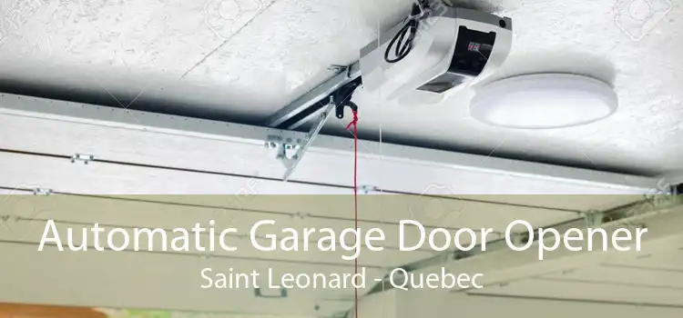 Automatic Garage Door Opener Saint Leonard - Quebec