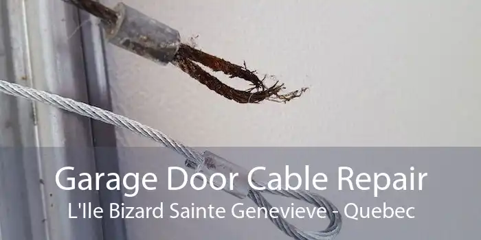 Garage Door Cable Repair L'Ile Bizard Sainte Genevieve - Quebec