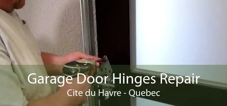 Garage Door Hinges Repair Cite du Havre - Quebec