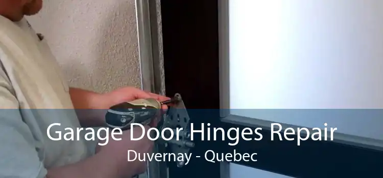 Garage Door Hinges Repair Duvernay - Quebec