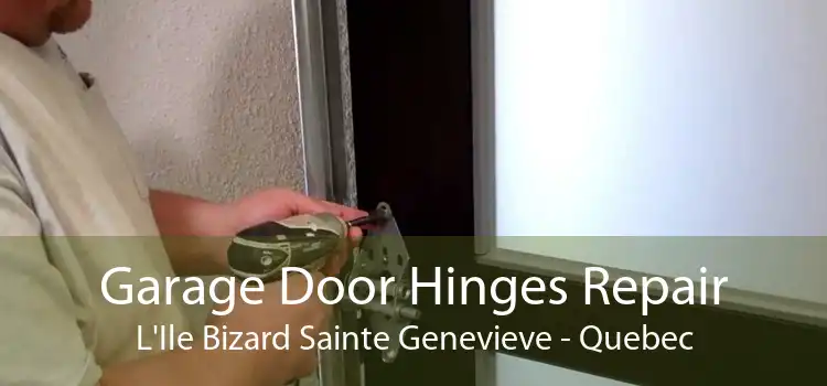 Garage Door Hinges Repair L'Ile Bizard Sainte Genevieve - Quebec