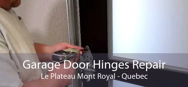 Garage Door Hinges Repair Le Plateau Mont Royal - Quebec