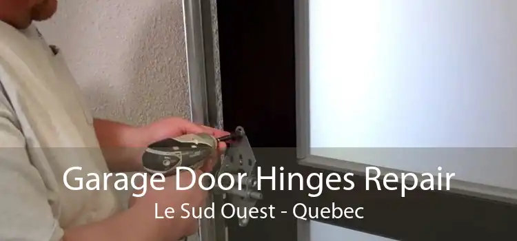 Garage Door Hinges Repair Le Sud Ouest - Quebec