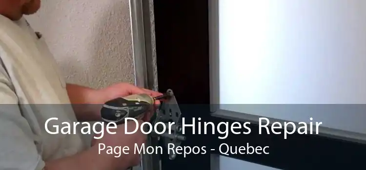 Garage Door Hinges Repair Page Mon Repos - Quebec