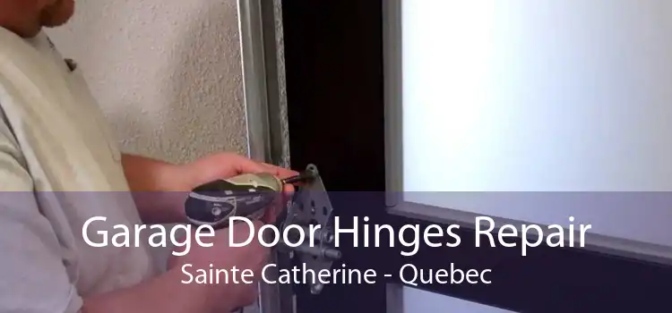 Garage Door Hinges Repair Sainte Catherine - Quebec