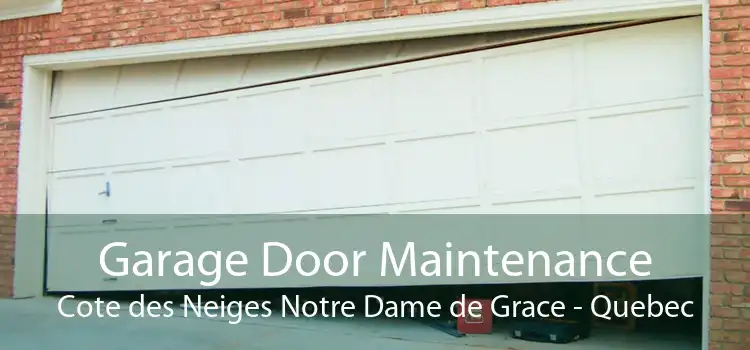 Garage Door Maintenance Cote des Neiges Notre Dame de Grace - Quebec