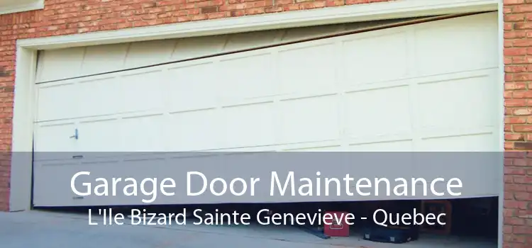 Garage Door Maintenance L'Ile Bizard Sainte Genevieve - Quebec