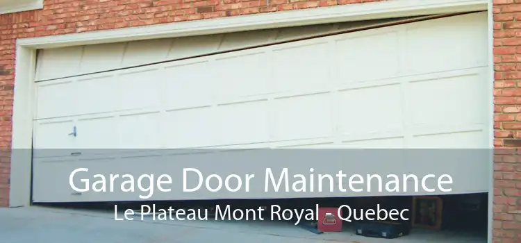 Garage Door Maintenance Le Plateau Mont Royal - Quebec