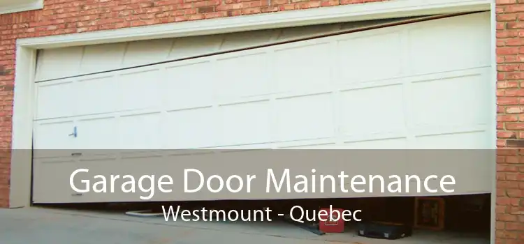 Garage Door Maintenance Westmount - Quebec