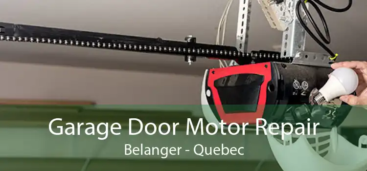 Garage Door Motor Repair Belanger - Quebec