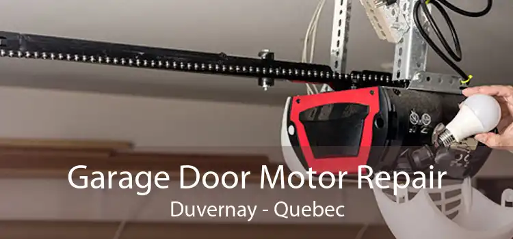 Garage Door Motor Repair Duvernay - Quebec