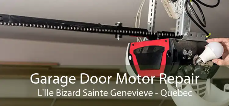 Garage Door Motor Repair L'Ile Bizard Sainte Genevieve - Quebec