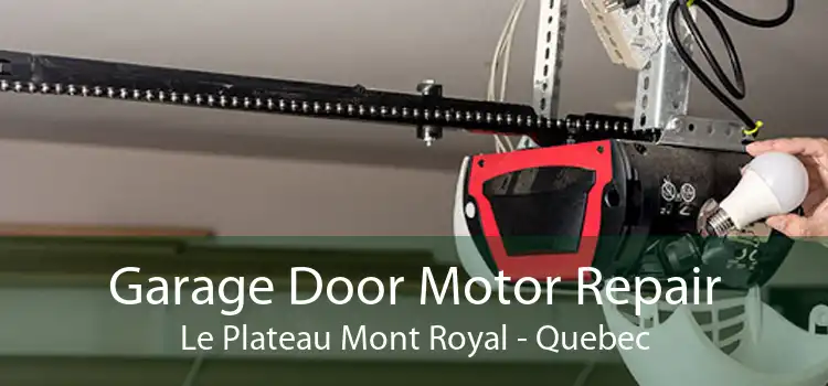 Garage Door Motor Repair Le Plateau Mont Royal - Quebec