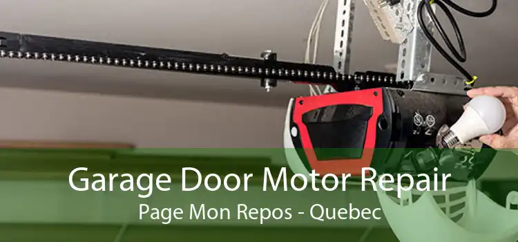 Garage Door Motor Repair Page Mon Repos - Quebec