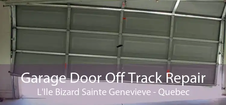 Garage Door Off Track Repair L'Ile Bizard Sainte Genevieve - Quebec