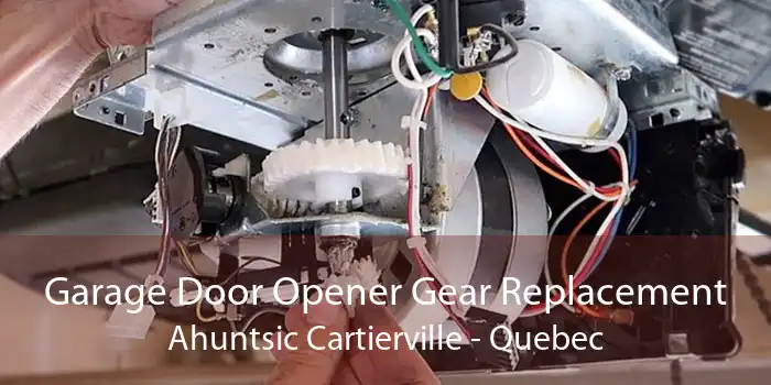 Garage Door Opener Gear Replacement Ahuntsic Cartierville - Quebec