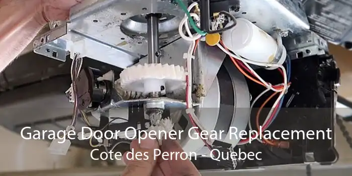 Garage Door Opener Gear Replacement Cote des Perron - Quebec