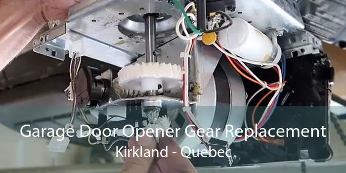 Garage Door Opener Gear Replacement Kirkland - Quebec