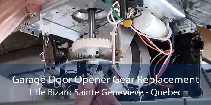 Garage Door Opener Gear Replacement L'Ile Bizard Sainte Genevieve - Quebec