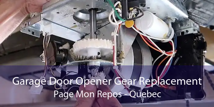 Garage Door Opener Gear Replacement Page Mon Repos - Quebec