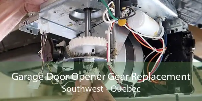 Garage Door Opener Gear Replacement Southwest - Quebec