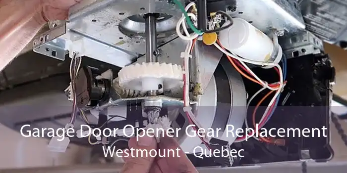 Garage Door Opener Gear Replacement Westmount - Quebec