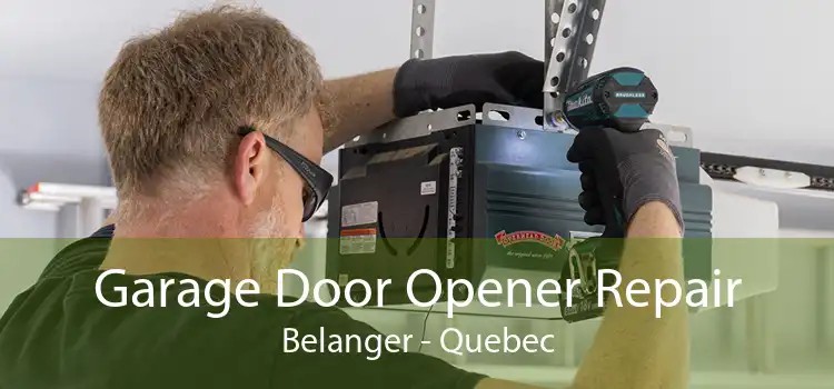 Garage Door Opener Repair Belanger - Quebec