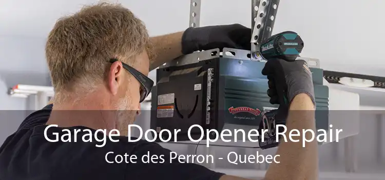 Garage Door Opener Repair Cote des Perron - Quebec