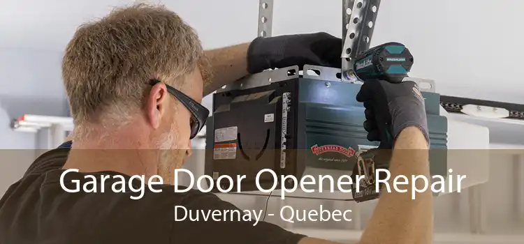 Garage Door Opener Repair Duvernay - Quebec