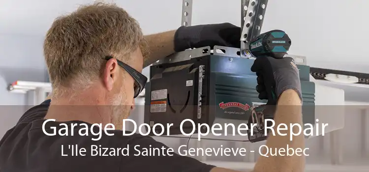 Garage Door Opener Repair L'Ile Bizard Sainte Genevieve - Quebec