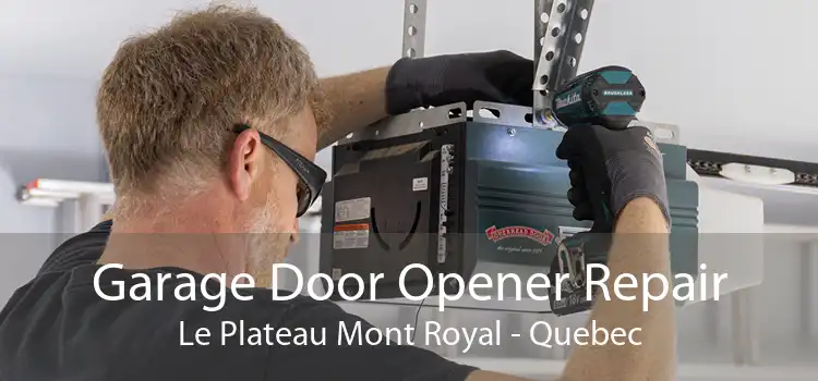 Garage Door Opener Repair Le Plateau Mont Royal - Quebec