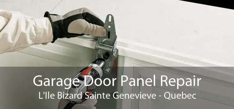 Garage Door Panel Repair L'Ile Bizard Sainte Genevieve - Quebec