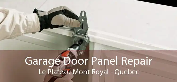 Garage Door Panel Repair Le Plateau Mont Royal - Quebec