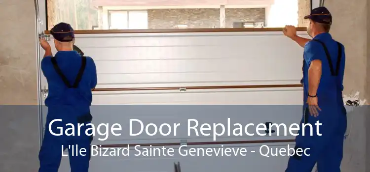 Garage Door Replacement L'Ile Bizard Sainte Genevieve - Quebec