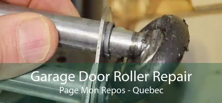 Garage Door Roller Repair Page Mon Repos - Quebec