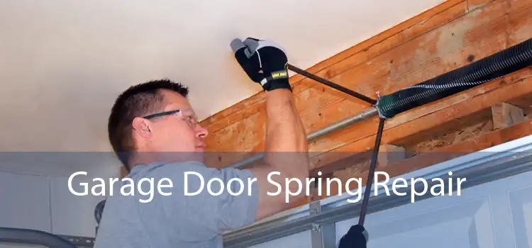 Garage Door Spring Repair 