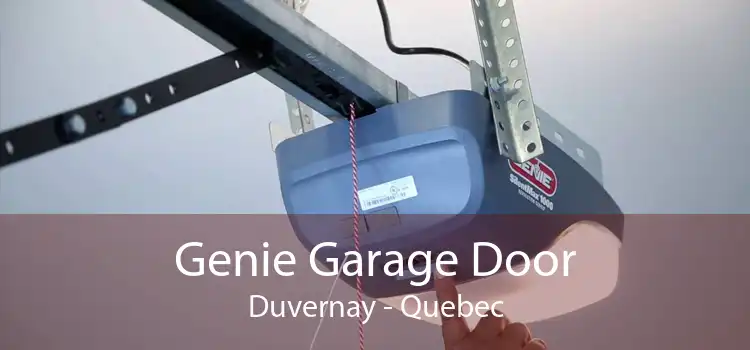 Genie Garage Door Duvernay - Quebec