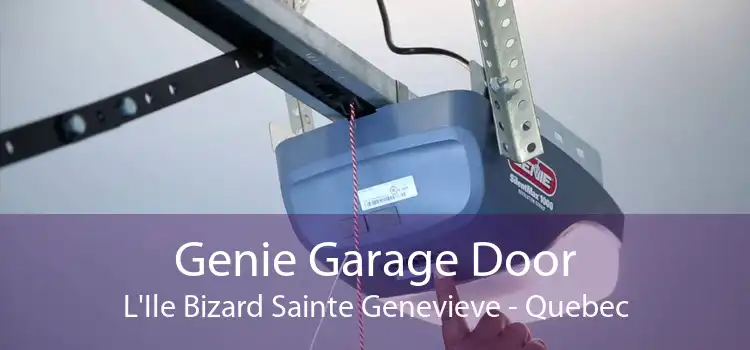 Genie Garage Door L'Ile Bizard Sainte Genevieve - Quebec