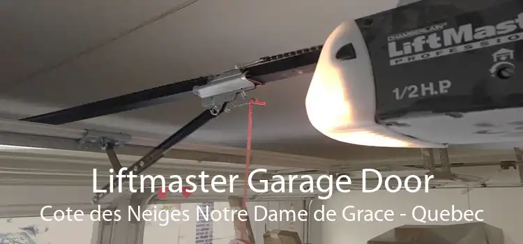 Liftmaster Garage Door Cote des Neiges Notre Dame de Grace - Quebec