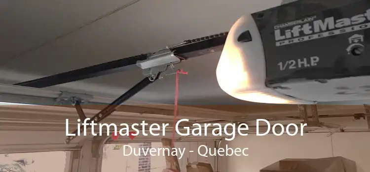 Liftmaster Garage Door Duvernay - Quebec