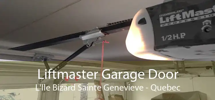 Liftmaster Garage Door L'Ile Bizard Sainte Genevieve - Quebec