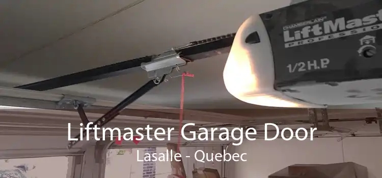 Liftmaster Garage Door Lasalle - Quebec