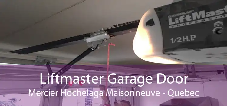 Liftmaster Garage Door Mercier Hochelaga Maisonneuve - Quebec