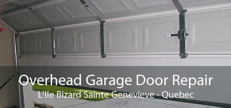 Overhead Garage Door Repair L'Ile Bizard Sainte Genevieve - Quebec