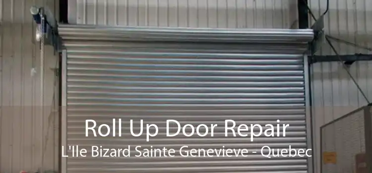 Roll Up Door Repair L'Ile Bizard Sainte Genevieve - Quebec