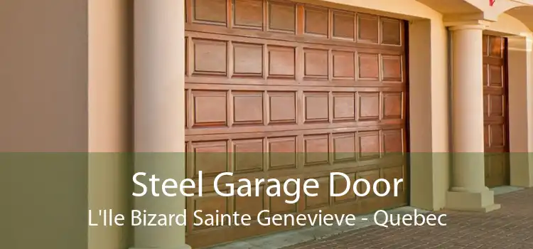 Steel Garage Door L'Ile Bizard Sainte Genevieve - Quebec